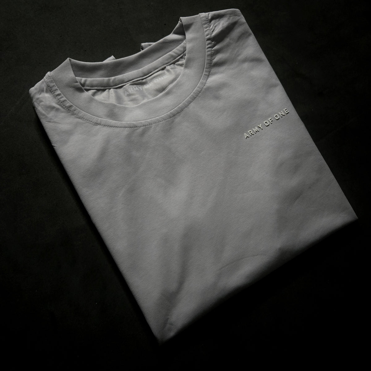 Standard Issue Training Tee - Light Gray