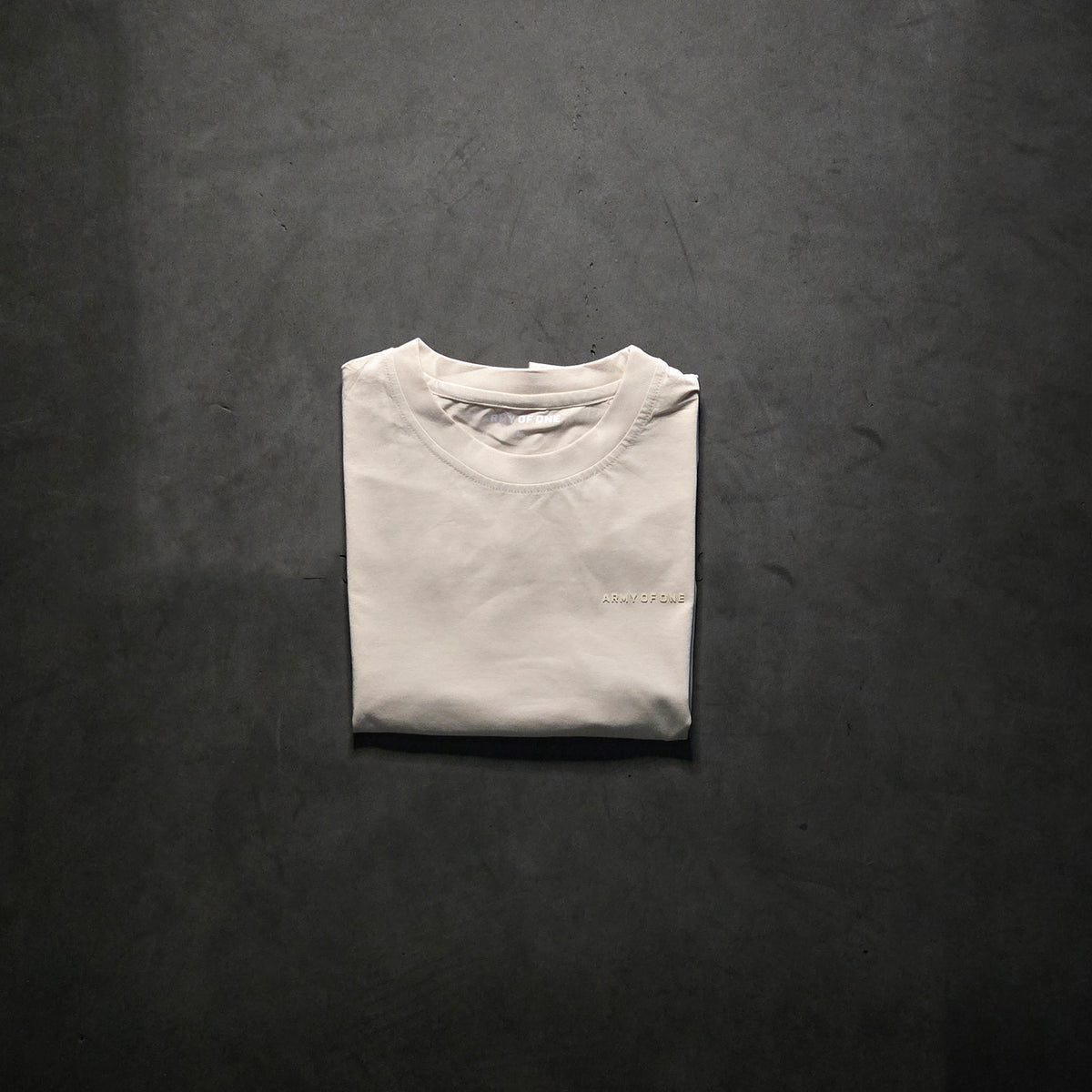 New - Standard Issue Training Tee - Stone
